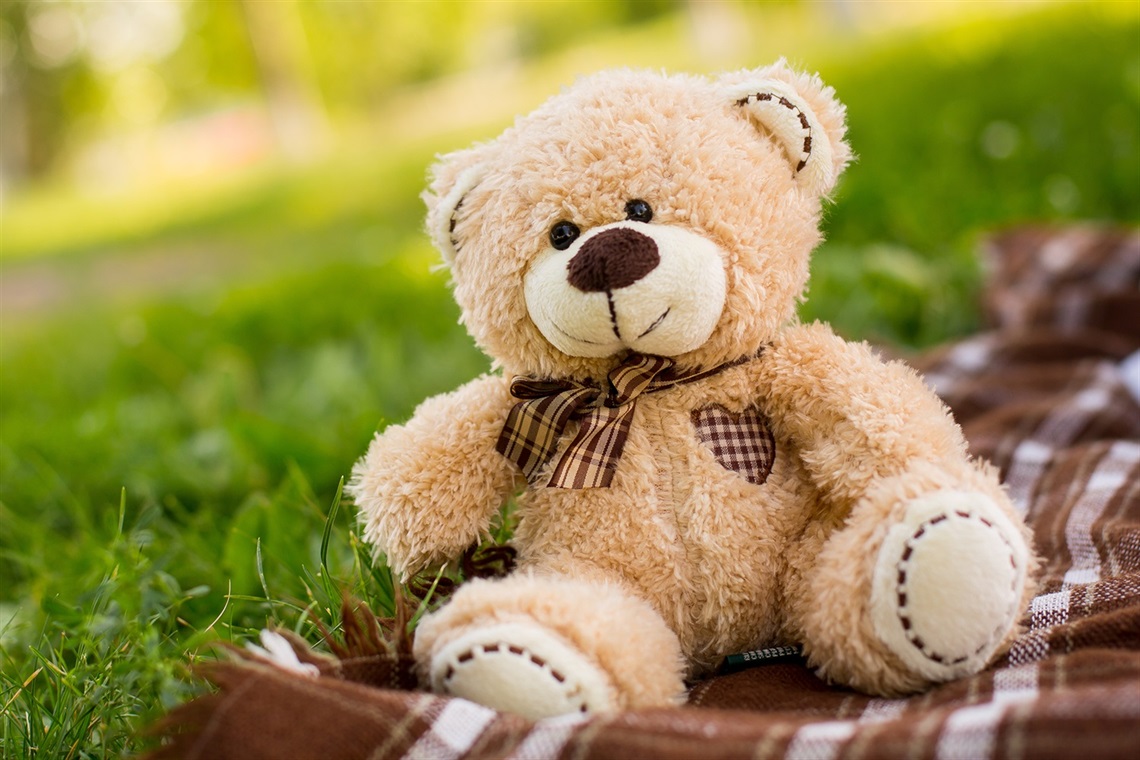Teddy Bears Picnic Teddy Bears Picnic