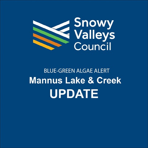 BLUE-GREEN ALGAE ALERT Mannus Lake & Creek Update.jpg