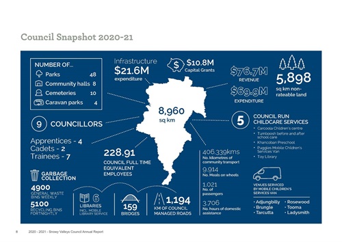 council snap shot 2020.jpg