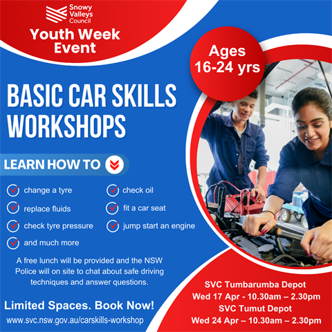Basic car skills workshop - graphic.png