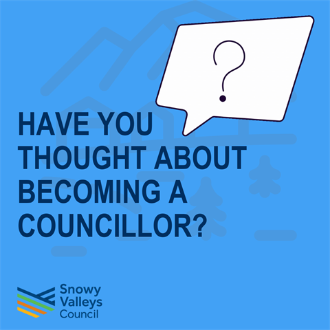 Become a councillor.png