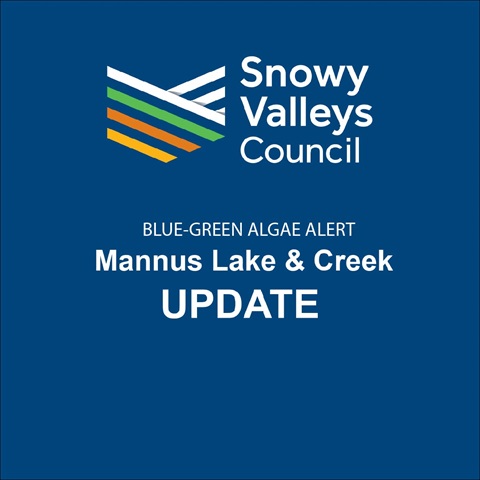 BLUE-GREEN ALGAE ALERT Mannus Lake & Creek Update.jpg