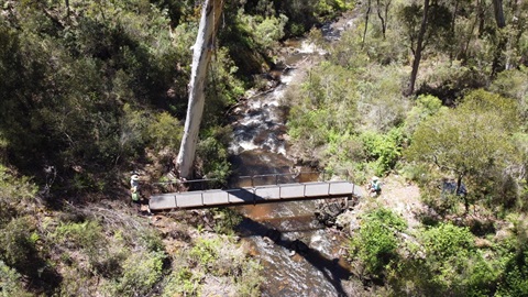 Bridge over Micalong Creek.jpg