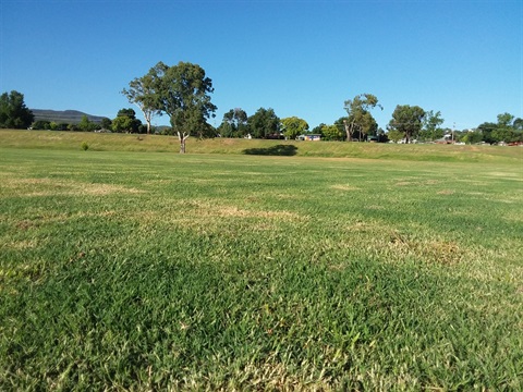 Bull Paddock Refurbishment 1.jpg