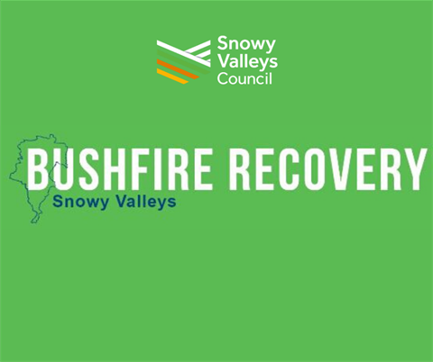 Bush fire Recovery graphic.png