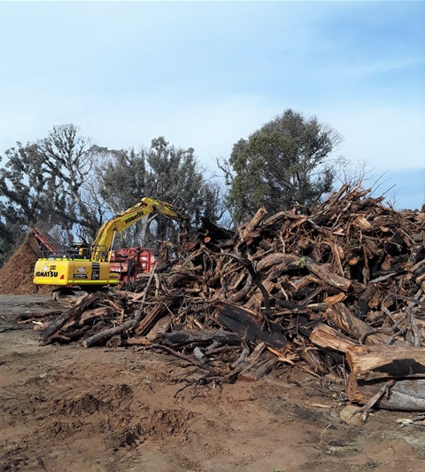 Bushfire Roadside clean-up - stock pile of debris.jpg