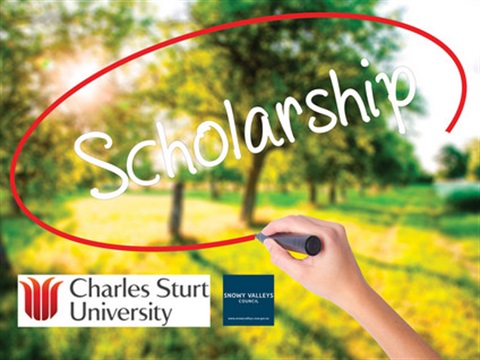 CSU scholarship.jpg