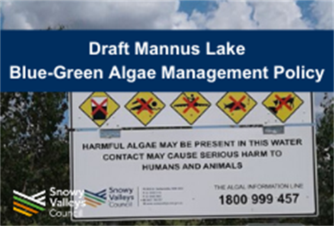 Draft Mannus Lake Blue-Green Algae Management Policy.png