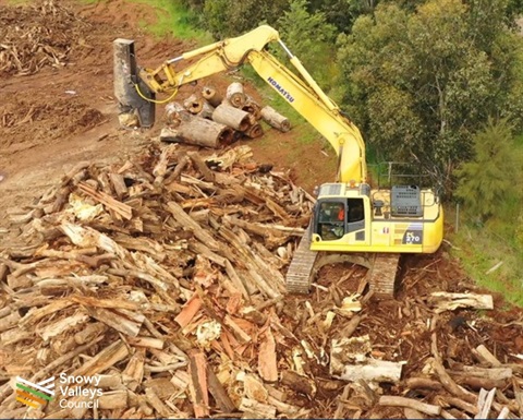 Green Waste Clean Up