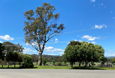 Tumut’s Bull Paddock Youth Precinct in Fitzroy Street is set to receive a new amenities block and a permanent Driver Reviver site .jpg