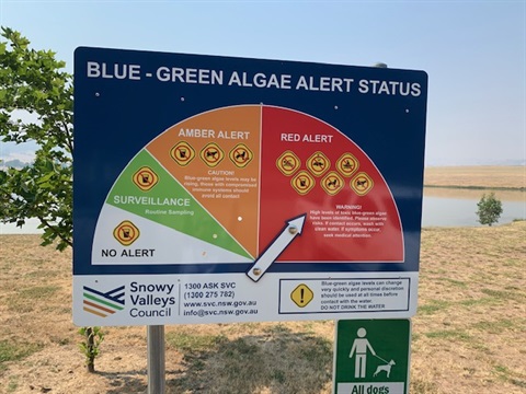 Mannus Lake Algae Warning Sign.jpg