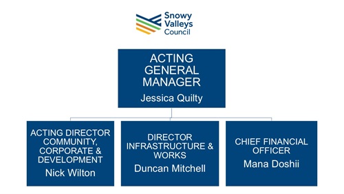 20250218 - SVC Executive Structure - High Level